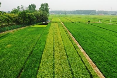 金堂县20011-2013年农田水利提升工程