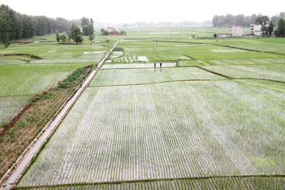 成都市2017年市级财政农田水利建设专项资金项目