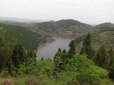 金堂县东风水库扩建工程